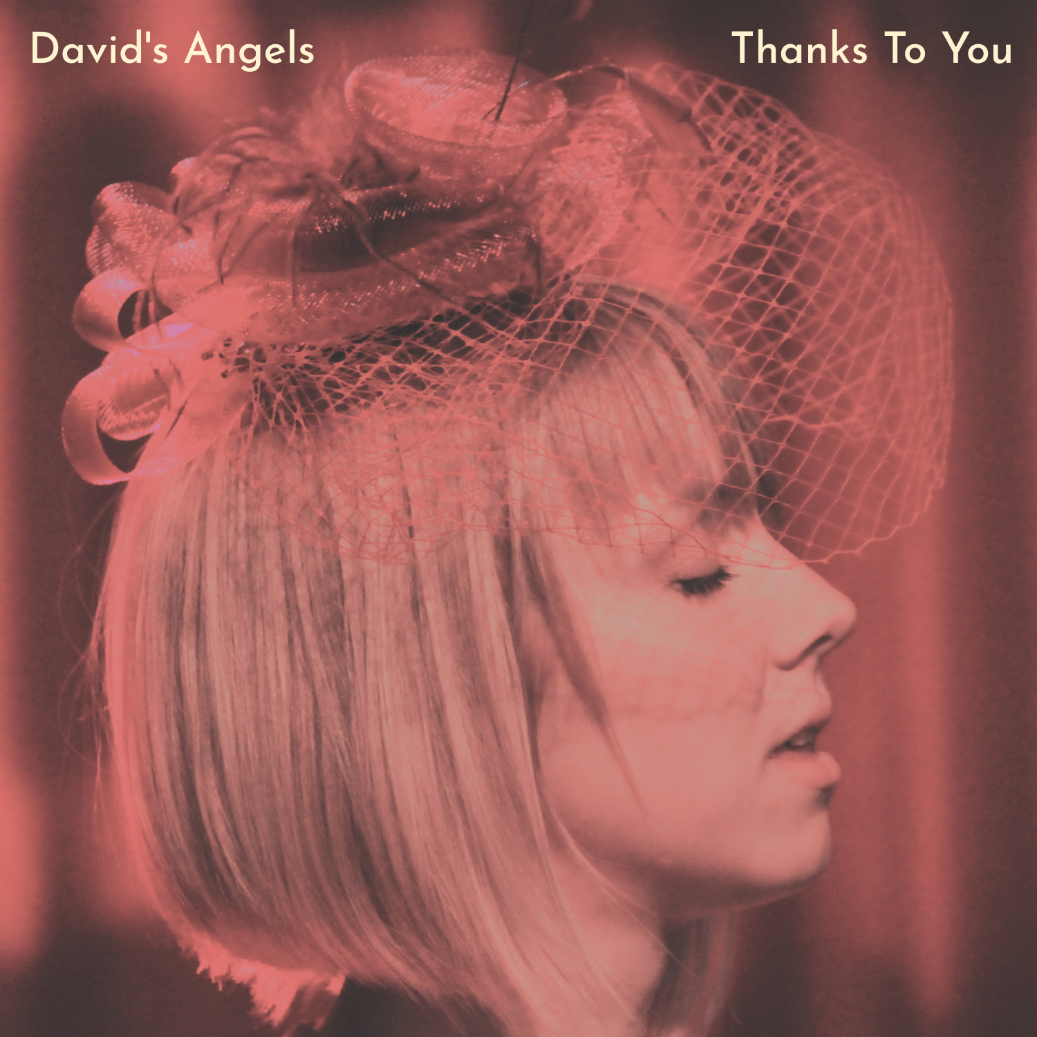 David´s Angels: Thanks To You